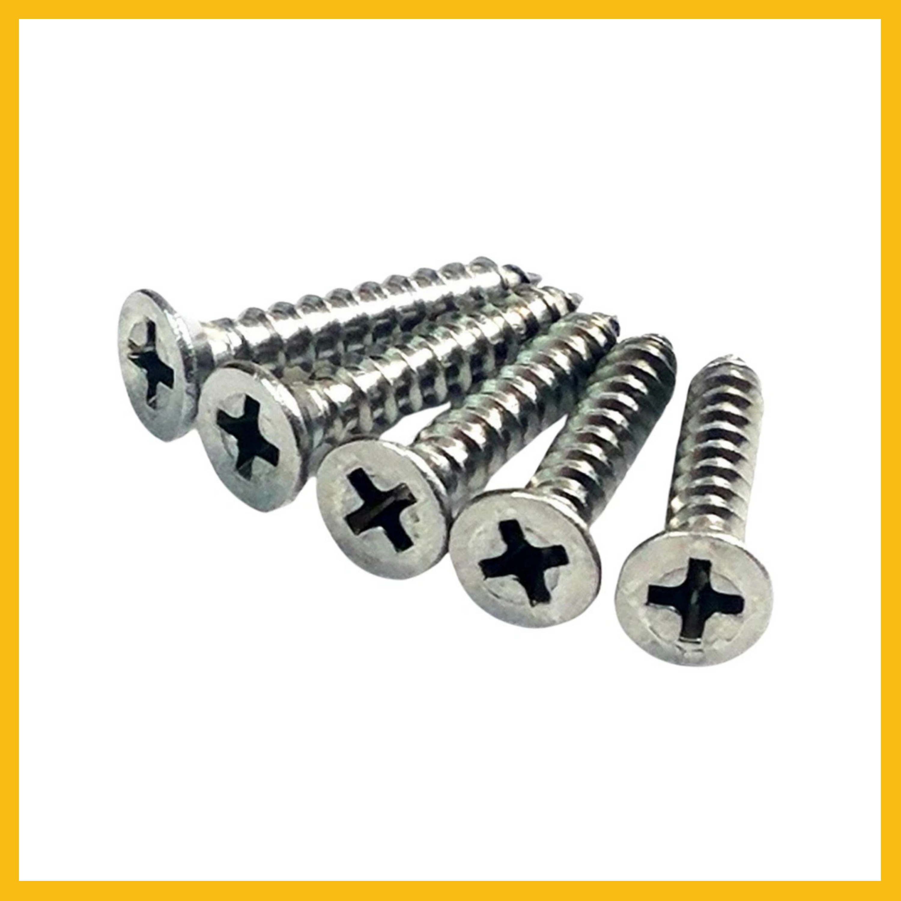 Screw Pack to suit SSS Hinges