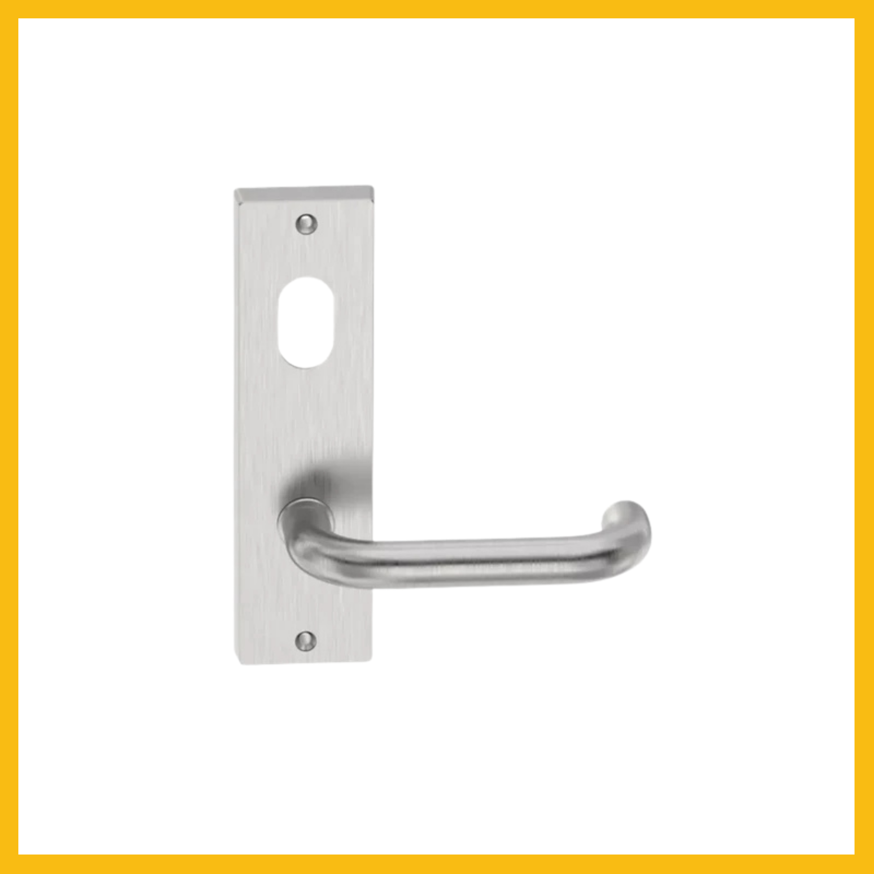 D Lever on Rectangular Plate-ENTRO - Plain/Visible Fixings SSS-Clearance Price