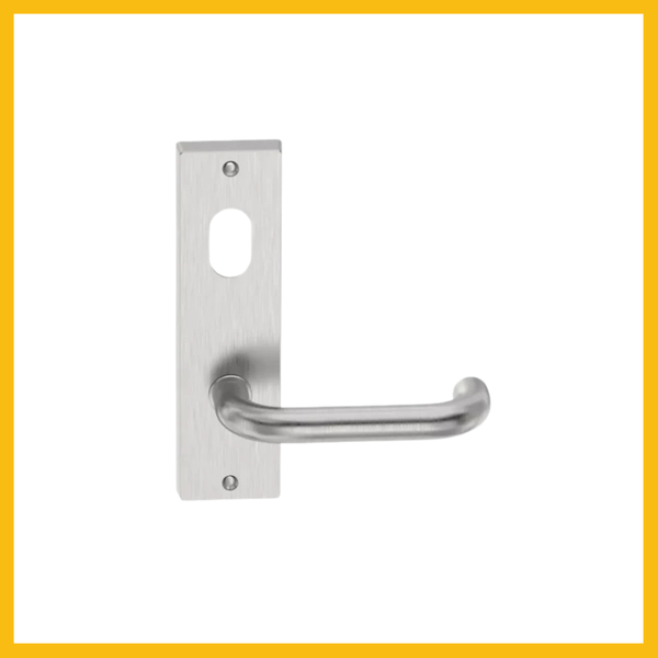 D Lever on Rectangular Plate-ENTRO - Plain/Visible Fixings SSS-Clearance Price